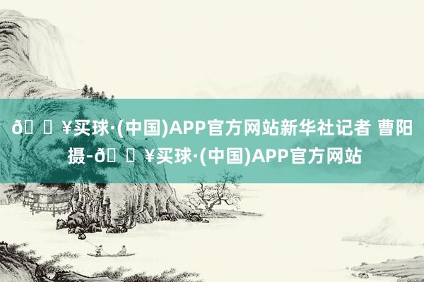 🔥买球·(中国)APP官方网站新华社记者 曹阳 摄-🔥买球·(中国)APP官方网站