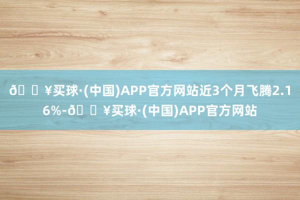 🔥买球·(中国)APP官方网站近3个月飞腾2.16%-🔥买球·(中国)APP官方网站
